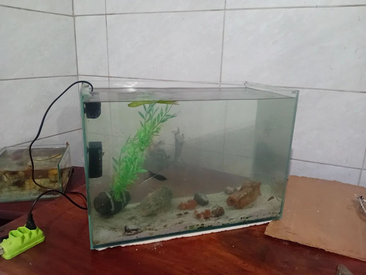 Aquário 