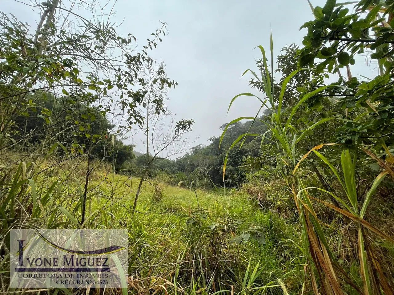 Terreno em Cinco Lagos - Mendes - Foto 2