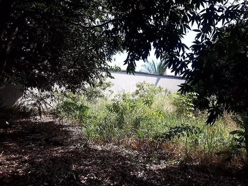 Lote - Terreno à venda, Bandeirantes (Pampulha) - Belo Horizonte/MG - Foto 3