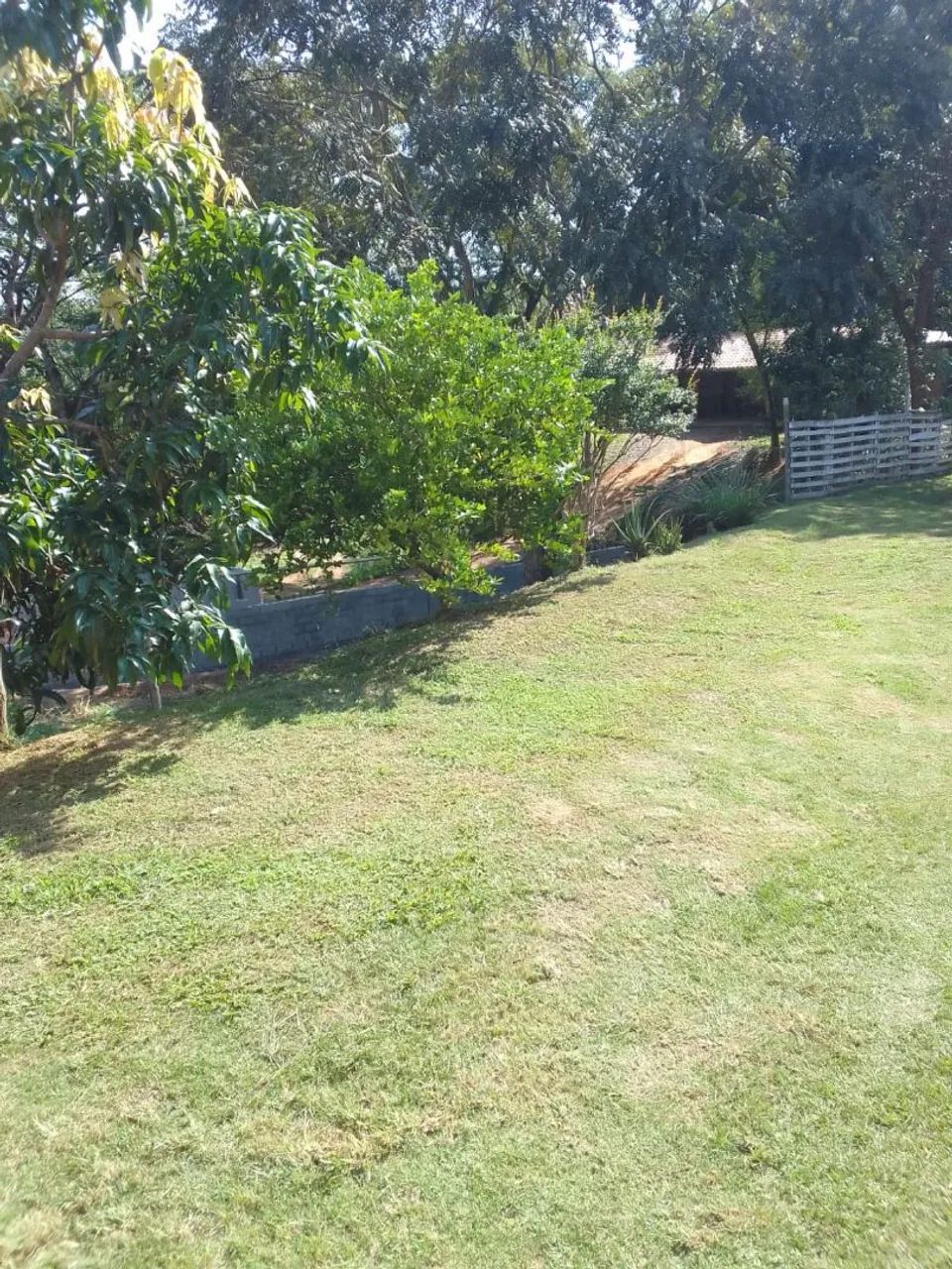 Linda chácara  - Foto 3