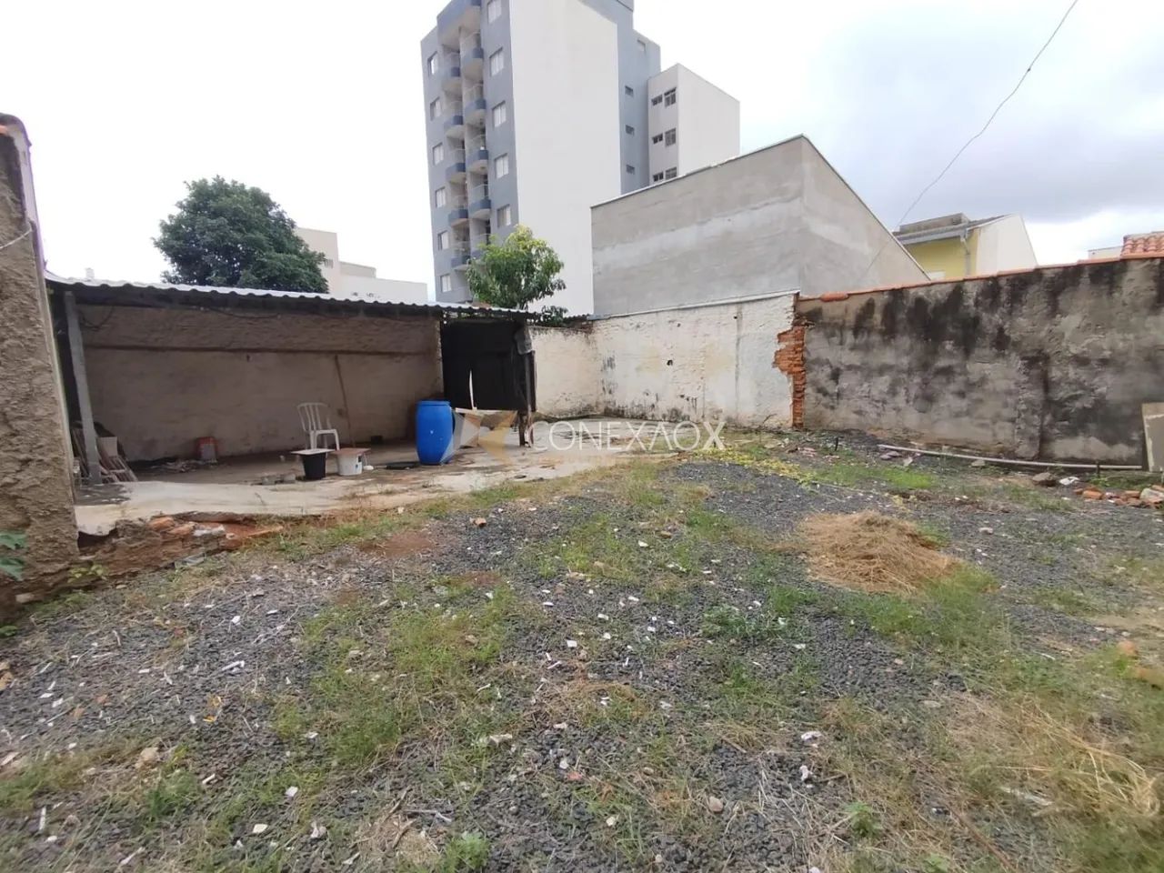 terreno - Bonfim - Campinas - Foto 4