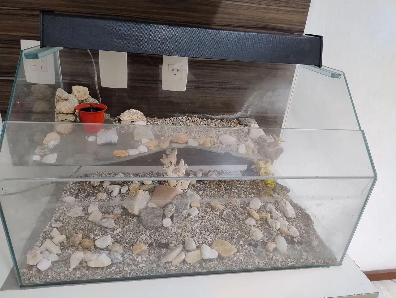 Vendo aquário usado - Foto 5