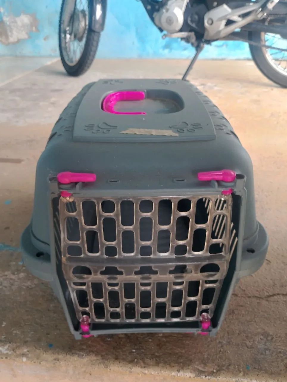 Caixa de transporte de animal