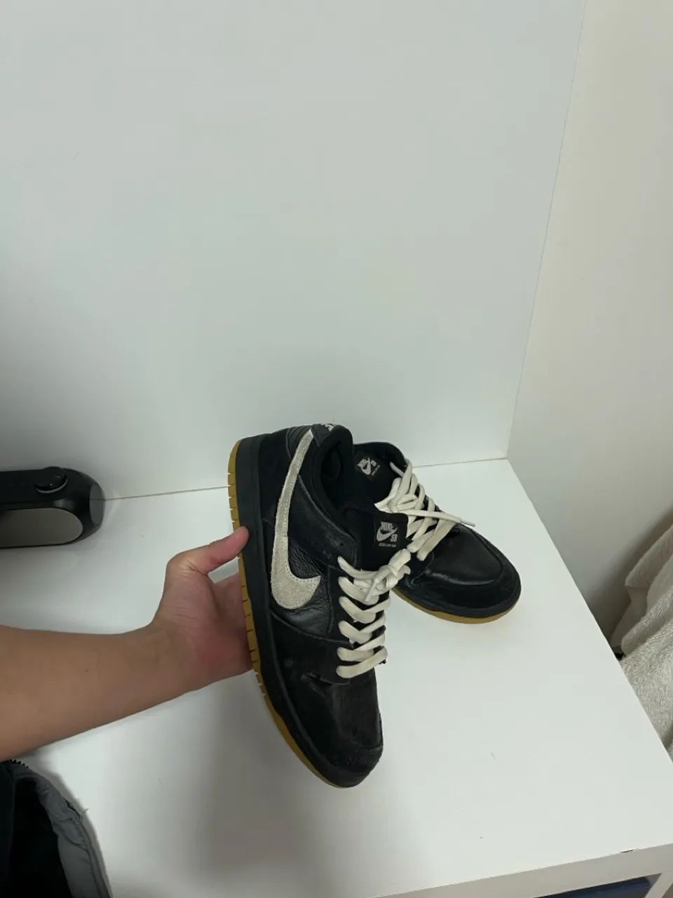 SB Dunk Low Pro