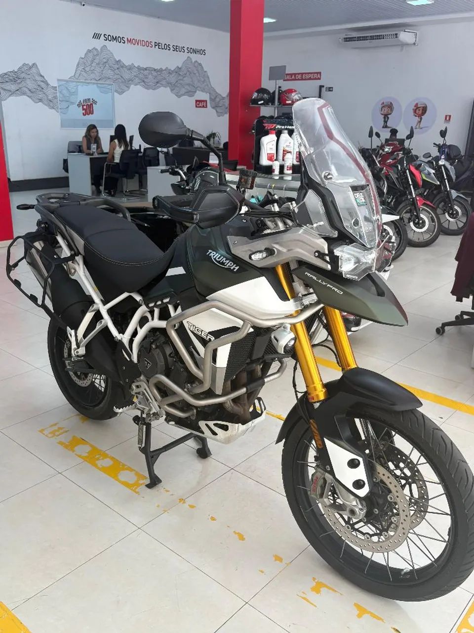 TRIUMPH TIGER 900 RALLY PRO  - Foto 3
