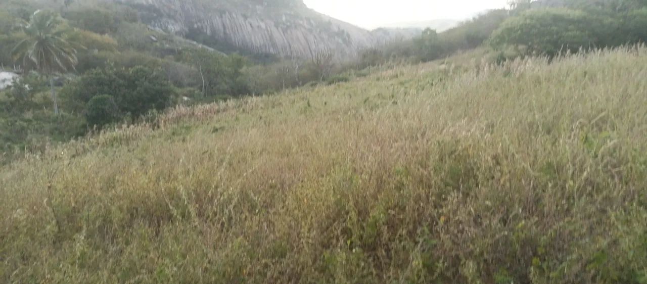 Vende-se terreno próximo à Pedra da Boca - PB