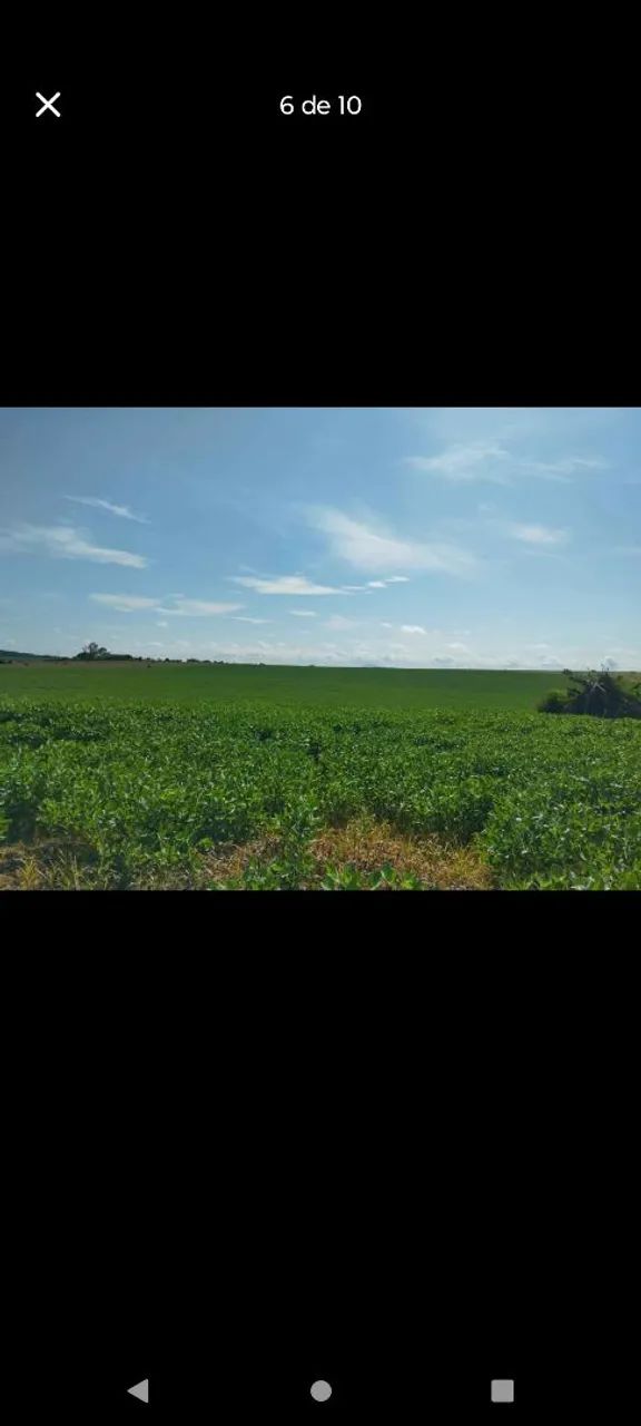 1513 - Foto 3