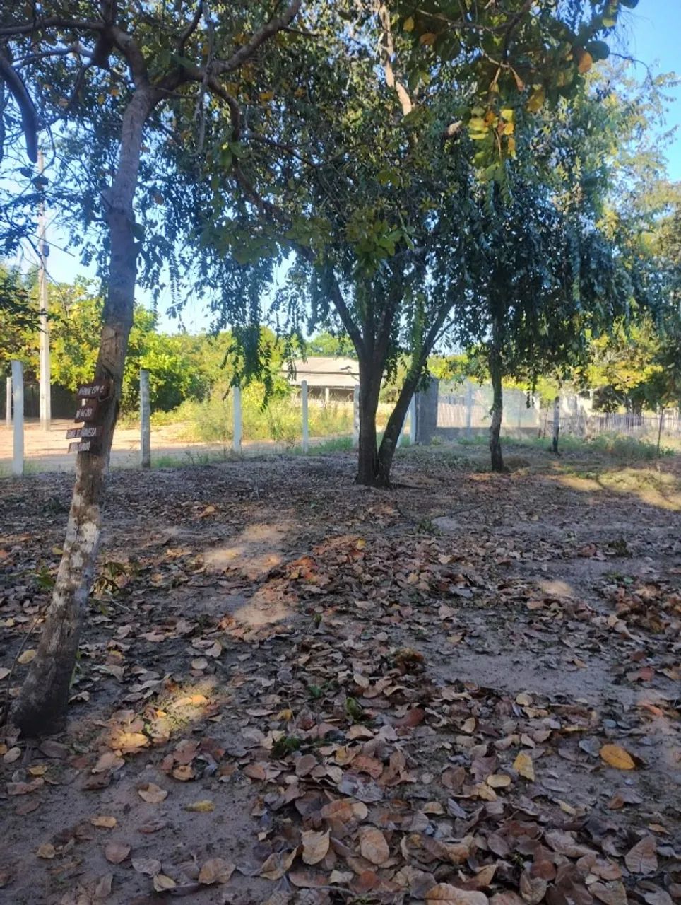 CHÁCARA À VENDA NO CANTÁ - RR - Foto 5