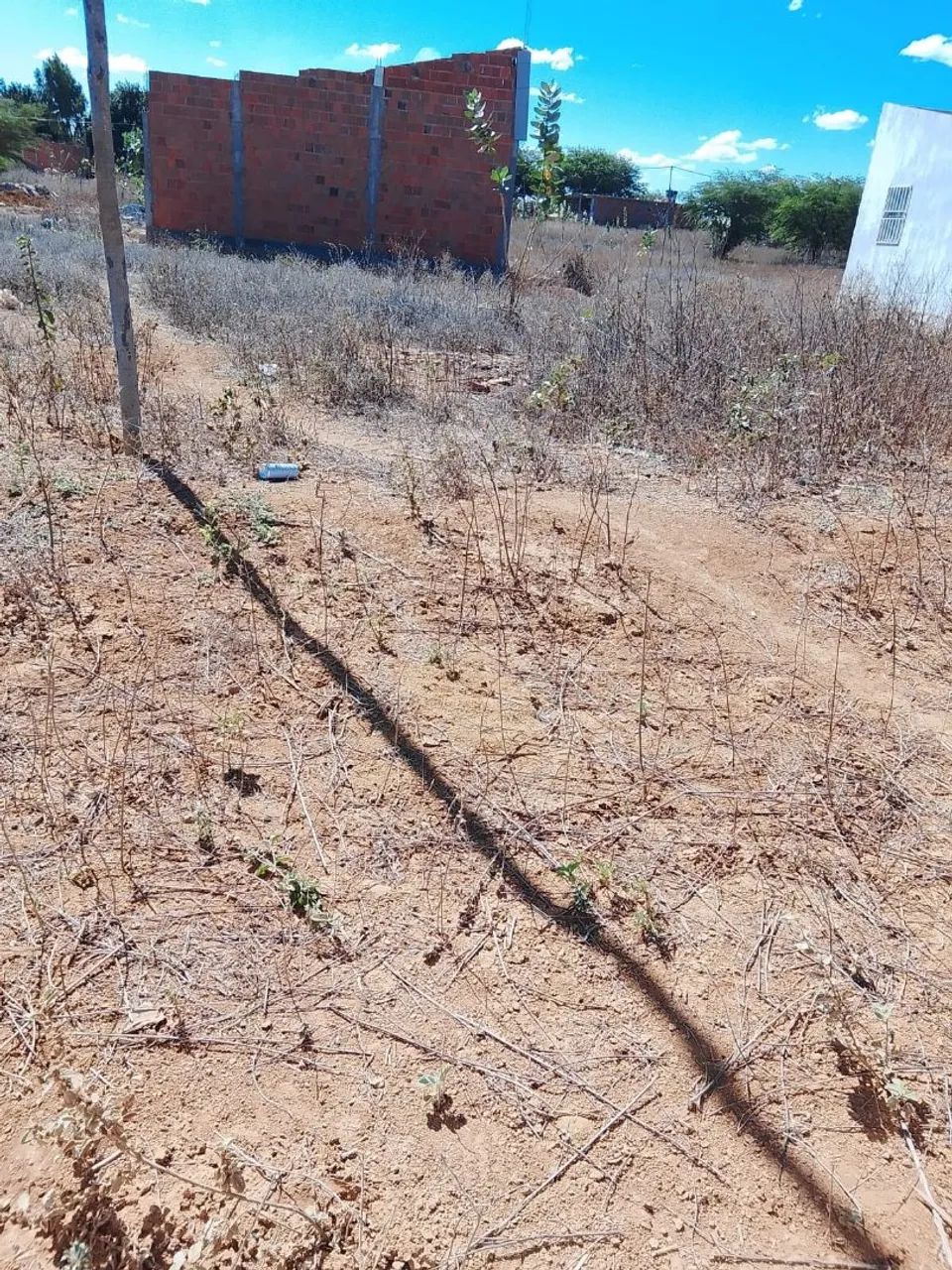 Lote Cocão Irecê/Lapão 