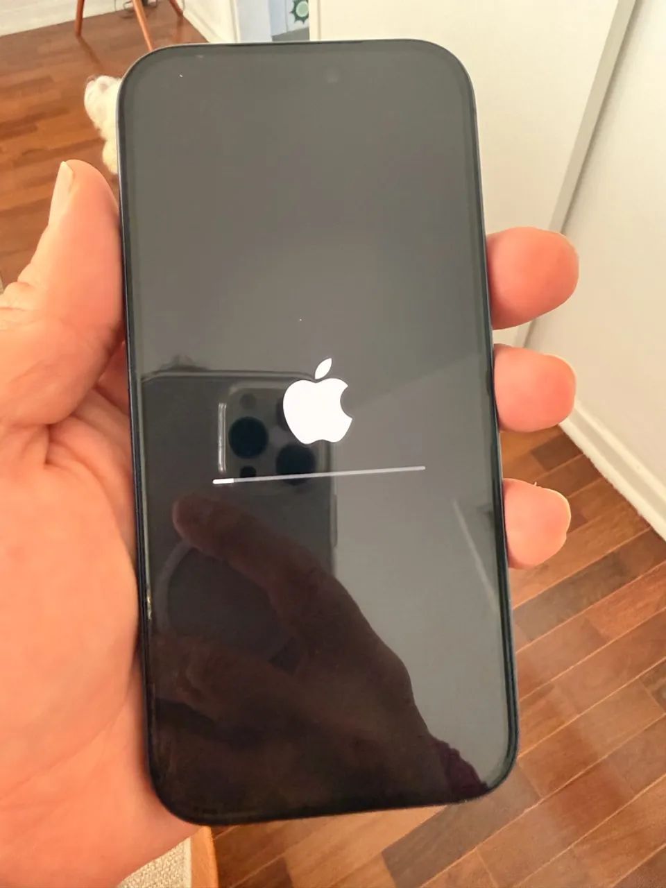 iPhone 17 Pro 256gb Garantia Apple  - Foto 2