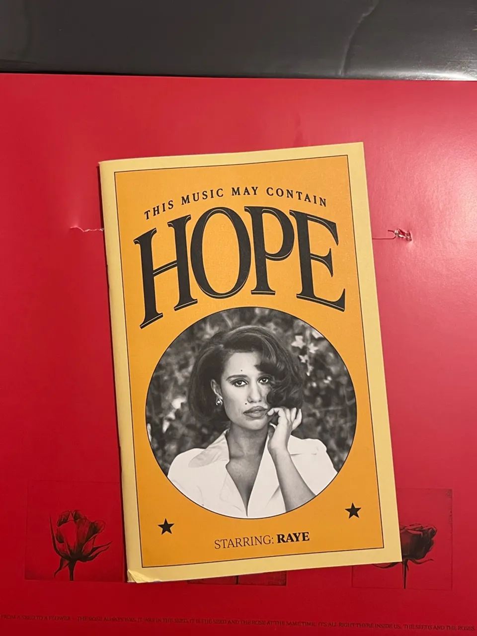 Raye This Music May Contain Hope lp  - Foto 3