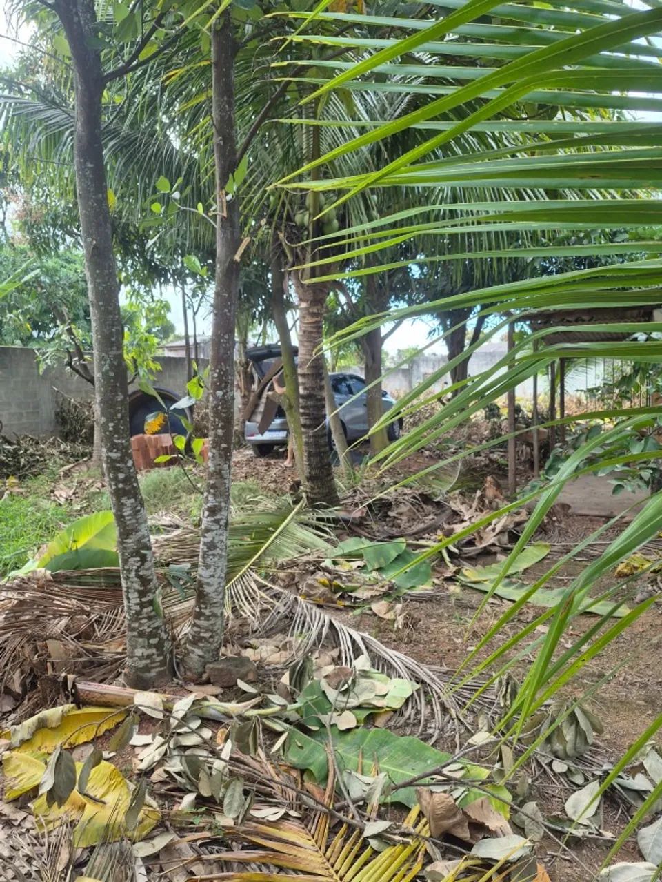 Lote em Morada da Barra