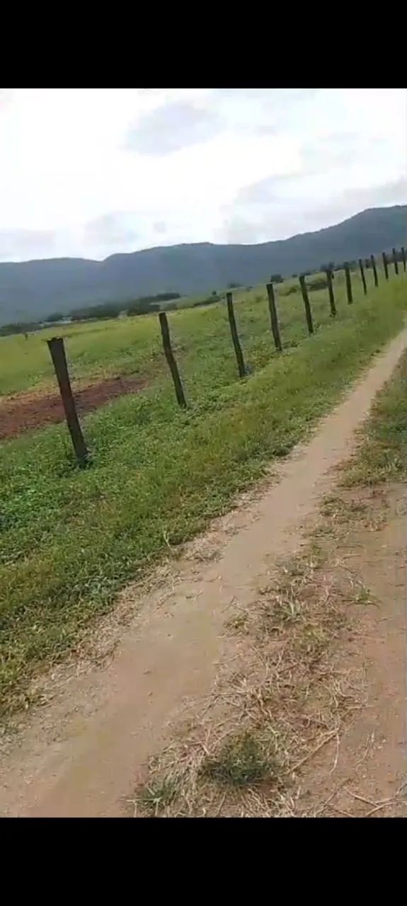 Terreno bom para sítio ou chácara  - Foto 3