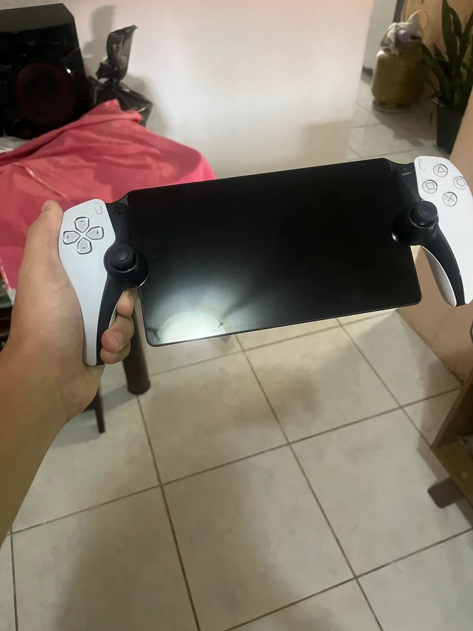 Ps portal 