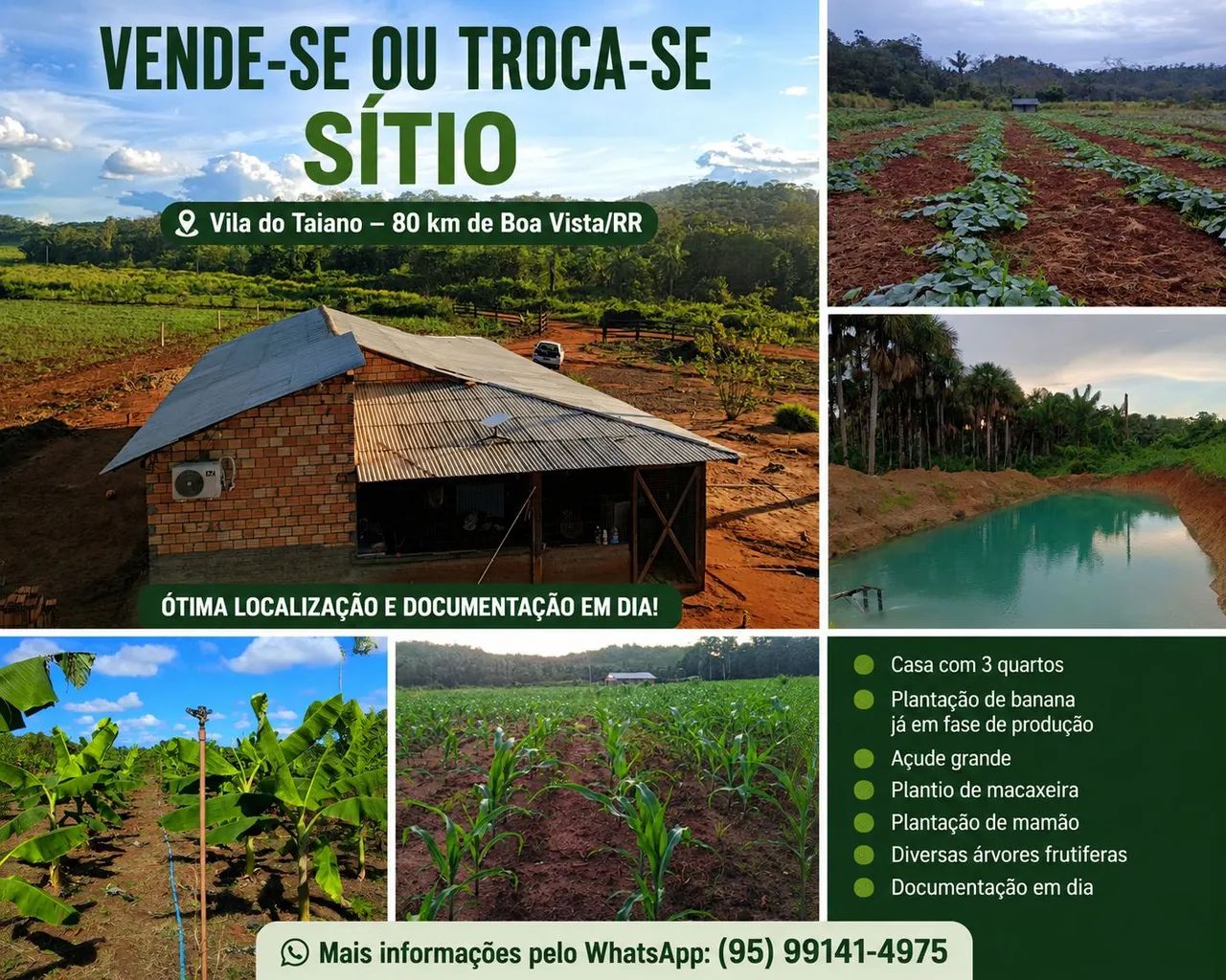 Vendo sítio na vila do taiano 80 km de boa vista área titulada 