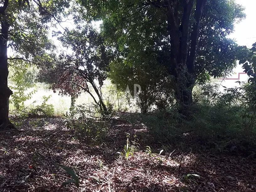 Lote - Terreno à venda, Bandeirantes (Pampulha) - Belo Horizonte/MG - Foto 2