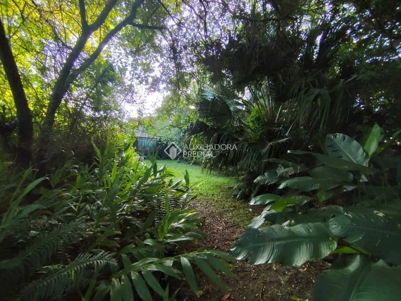 LOTE EM ÁREA NOBRE NA Praia da Pinheira - Foto 4