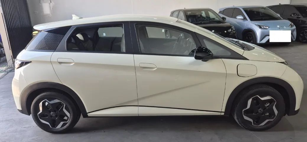 BYD Dolphin EV (Elétrico) 2024 - Foto 3