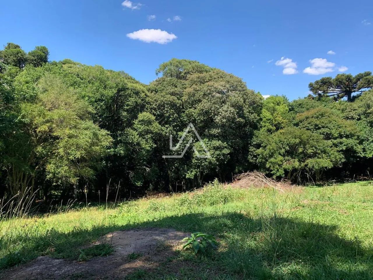 CHACARA em Passo Fundo - Foto 3