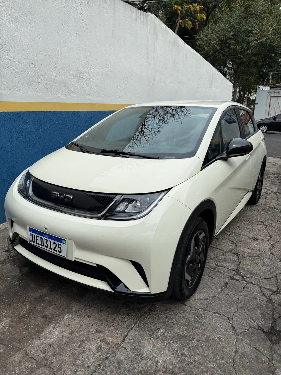 BYD Dolphin EV (Elétrico) 2026