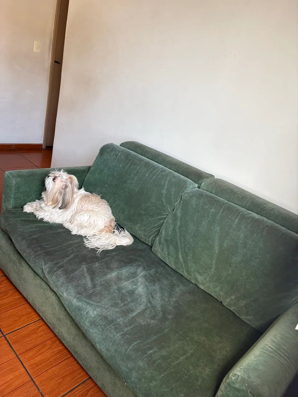 Sofá-Cama confortável - Foto 2