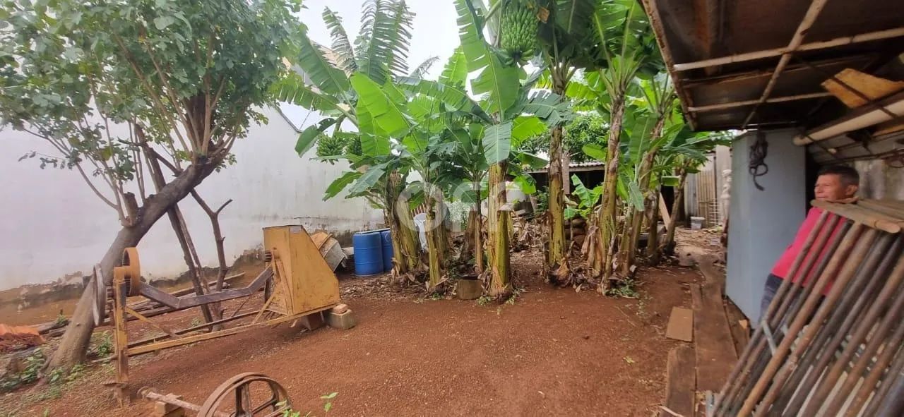 Terreno à venda - Vila Proost de Souza, Campinas SP - Foto 5