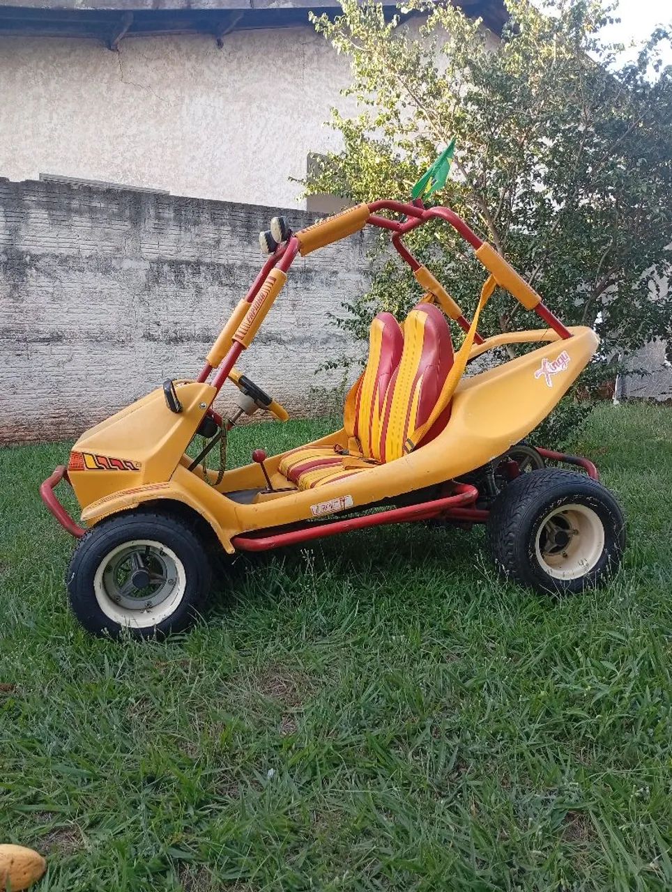 Mini Buggy Fapinha 