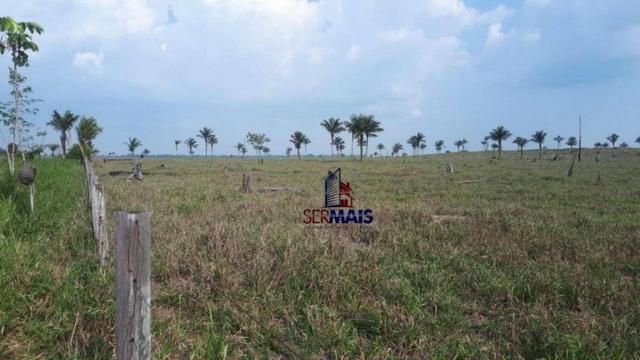 Fazenda muito bem localizada nas proximidade de Cujubim/RO - Foto 8