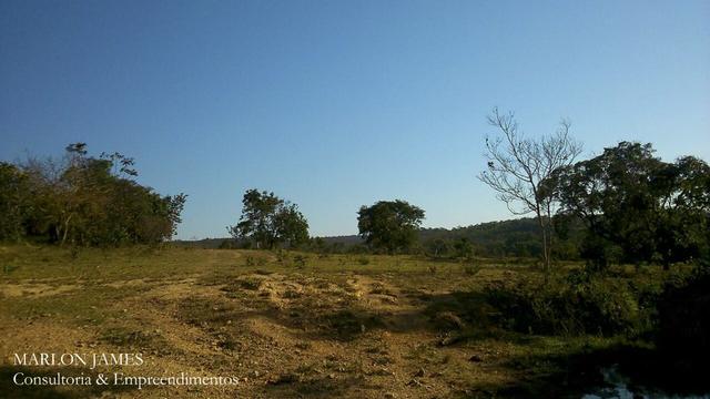 Fazenda Para Gado Ipameri-Go! - Foto 14