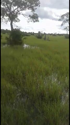 Fazenda em Santo Antônio do Leverger 9.880 hectares - Foto 13