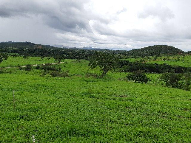 Fazendinha 20.000m2 | Maravilhosa | Com Lagoa E Espaço Gourmet | AGT - Foto 3