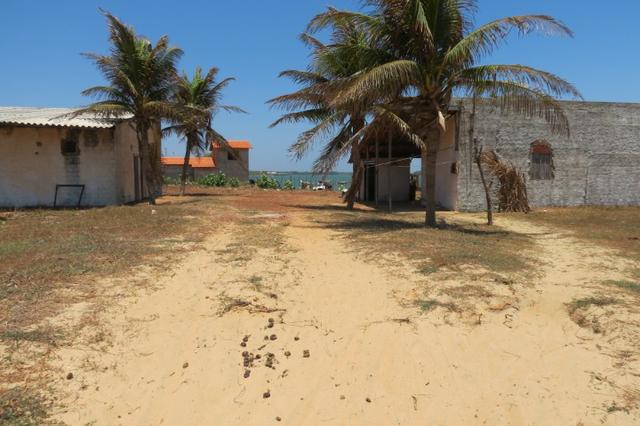 Casa mais Galpão em frete ao mar - Foto 4