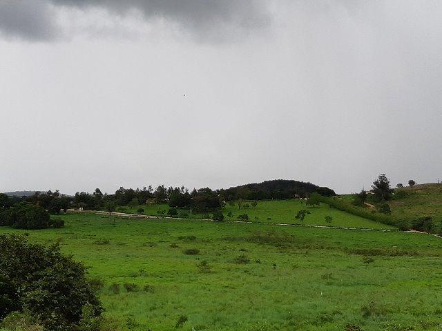 Fazendinha 20.000m2 | Maravilhosa | Com Lagoa E Espaço Gourmet | AGT - Foto 5