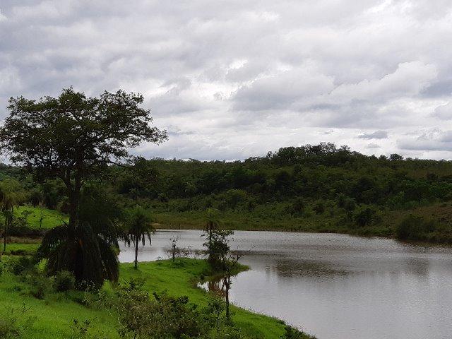 Fazendinha 20.000m2 | Maravilhosa | Com Lagoa E Espaço Gourmet | AGT