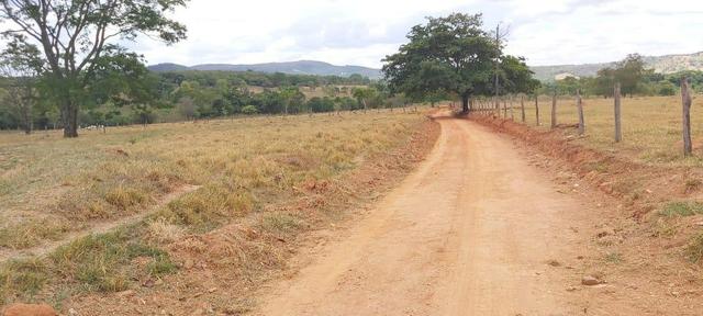 Fazenda - Foto 11