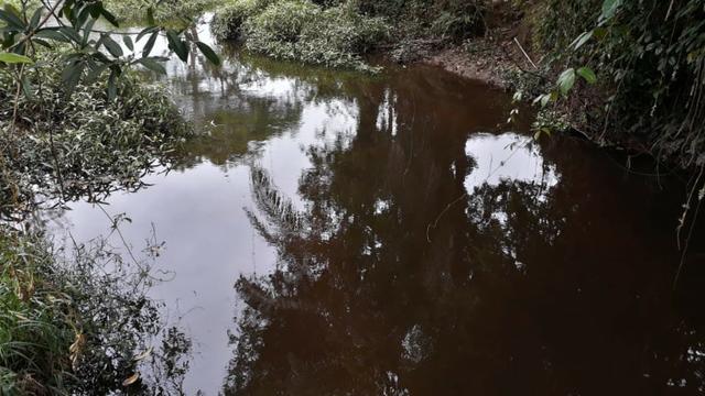Fazenda com excelente localização - Foto 3
