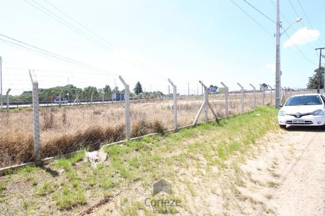 Terreno na Região do São Marcos BR-376 - Foto 2
