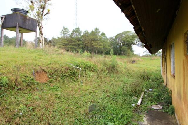 Chácara no Barro Branco em São José dos Pinhais - Foto 5