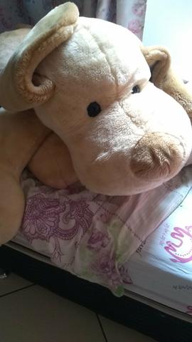 Urso enorme