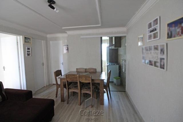 Apartamento mobiliado 2 quartos no Sítio Cercado - Foto 4