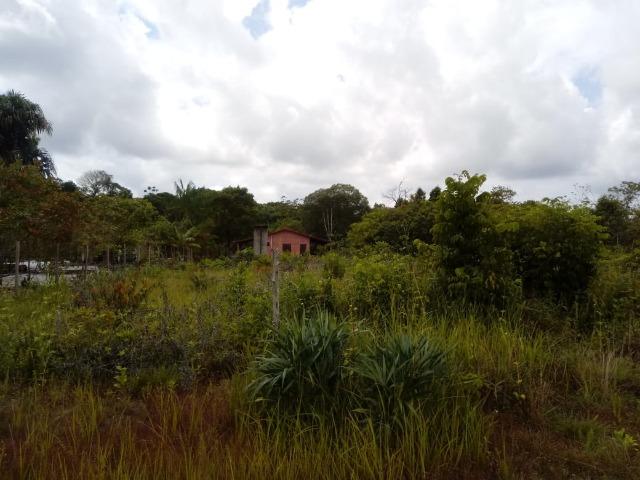 Excelente Oportunidade V ou T - Foto 18