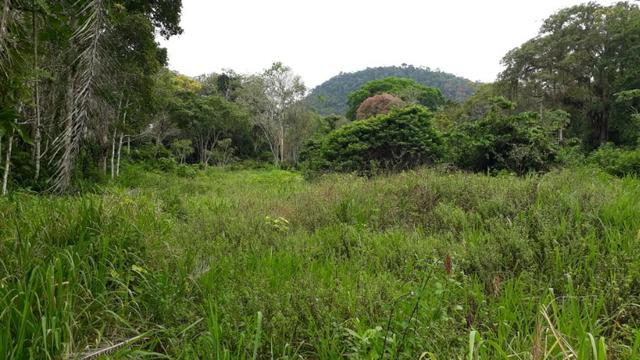 Fazenda com excelente localização - Foto 6