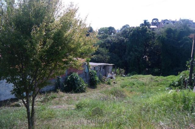 Terreno com 455 m² no Uberaba - Foto 4