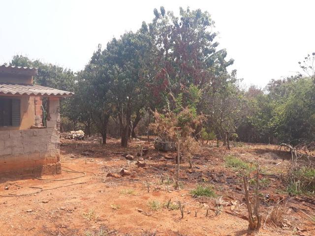 3 lotes em esmeraldas - Foto 4