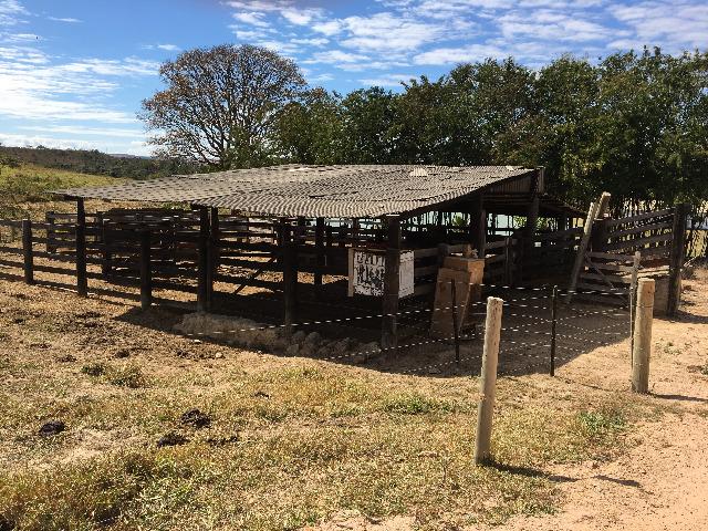 Fazenda gameleira de goias - Foto 10