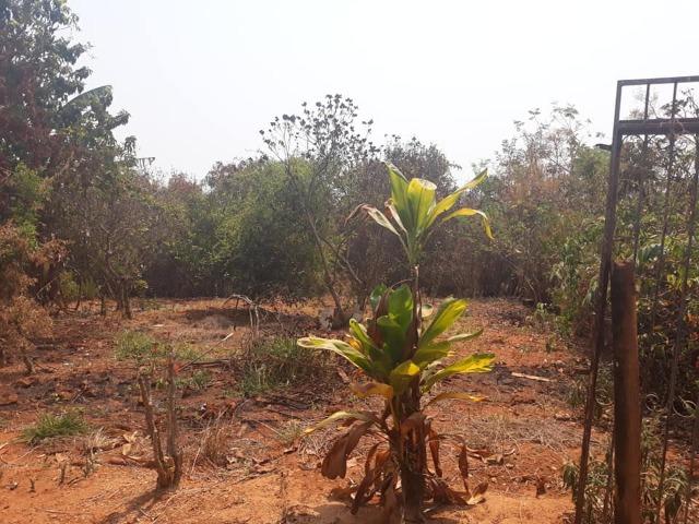 3 lotes em esmeraldas - Foto 3