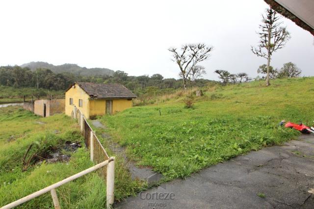 Chácara no Barro Branco em São José dos Pinhais - Foto 3