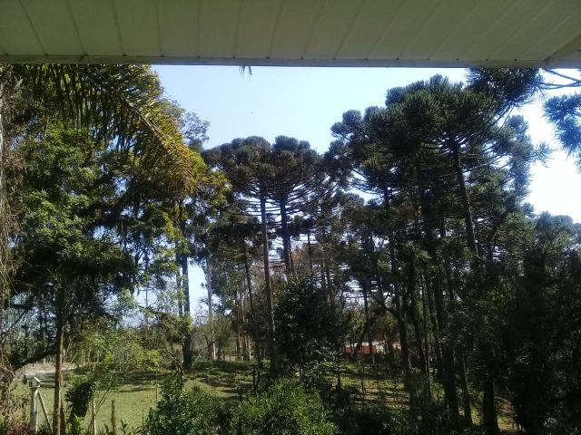 Linda Chácara 18.000 m² Doce Fino Quitandinha - Foto 11