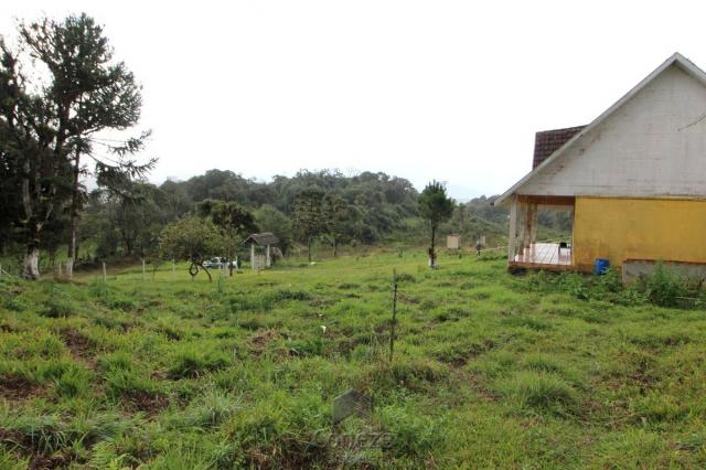 Chácara no Barro Branco em São José dos Pinhais - Foto 11