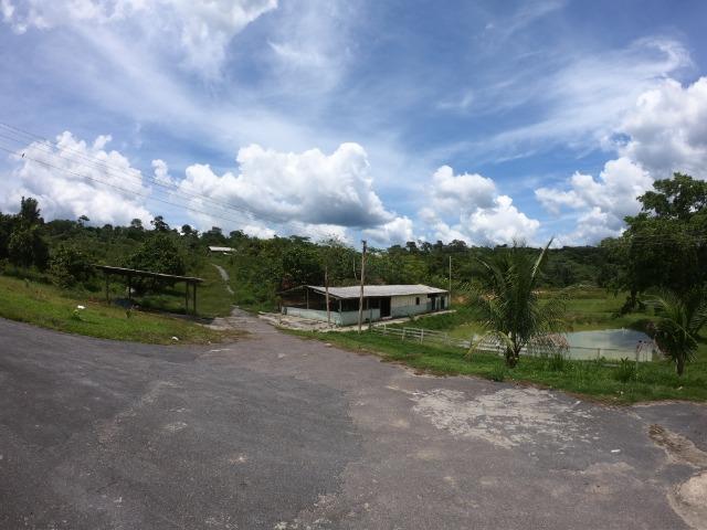 Fazenda Produtiva 1200 x 1100 com 20 tanques peixes em Rio Preto da Eva - Foto 15